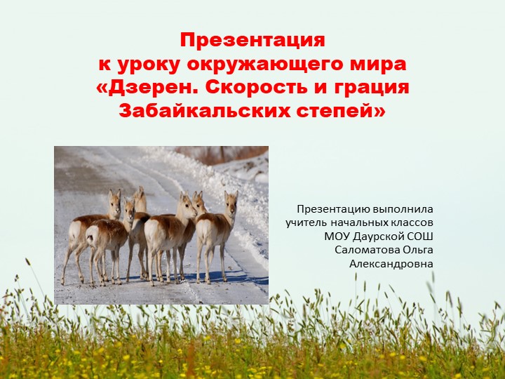 Презентация к уроку окружающего мира «Дзерен. Скорость и грация Забайкальских степей» - Скачать презентации бесплатно | Читать или скачать учебники для школы онлайн бесплатно ☑ Школьные учебники school-textbook.com