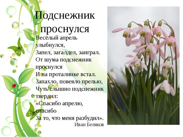 Презентация к уроку "День подснежника" - Скачать презентации бесплатно | Читать или скачать учебники для школы онлайн бесплатно ☑ Школьные учебники school-textbook.com
