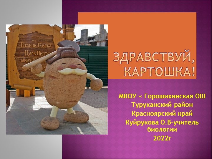 Презентация пор биологии " Здравствуй картошка!" - Скачать презентации бесплатно | Читать или скачать учебники для школы онлайн бесплатно ☑ Школьные учебники school-textbook.com