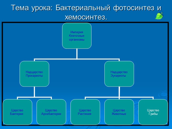 Презентация к уроку биологии "Бактериальный фотосинтез и хемосинтез"  - Скачать презентации бесплатно | Читать или скачать учебники для школы онлайн бесплатно ☑ Школьные учебники school-textbook.com