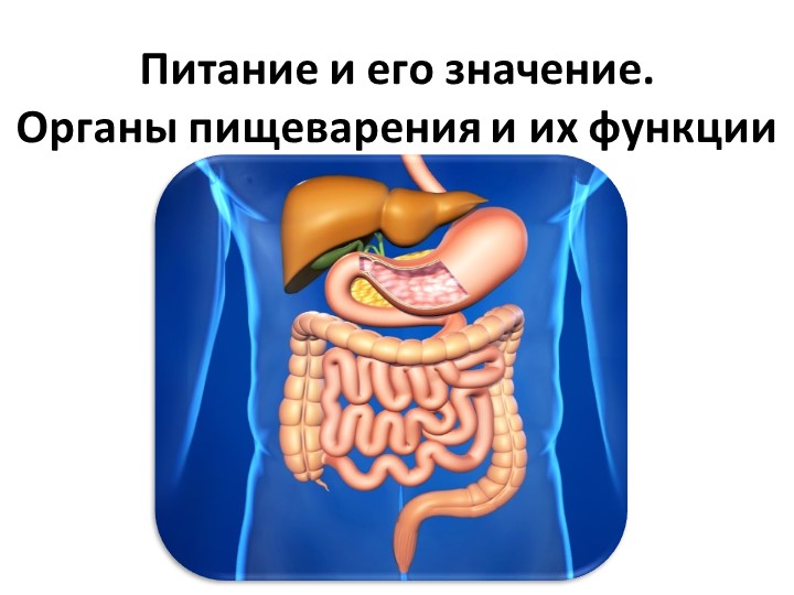 Презентация "Питание и его значение. Органы пищеварения и их функции"  - Скачать презентации бесплатно | Читать или скачать учебники для школы онлайн бесплатно ☑ Школьные учебники school-textbook.com
