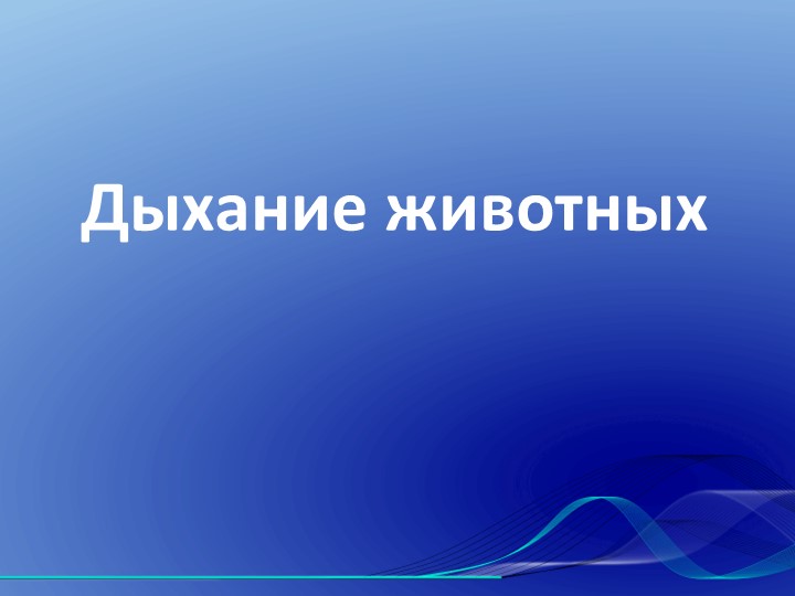 Презентация к уроку биологии "Дыхание животных"  - Скачать презентации бесплатно | Читать или скачать учебники для школы онлайн бесплатно ☑ Школьные учебники school-textbook.com