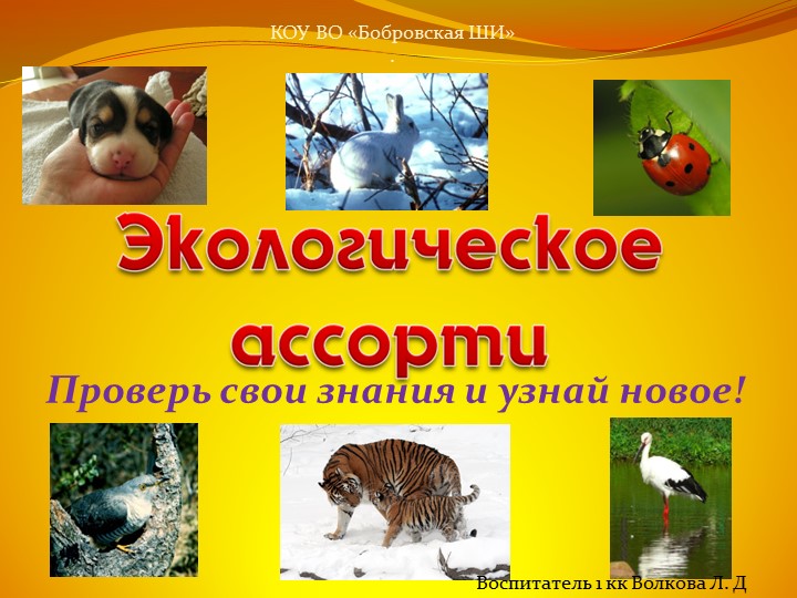 Презентация "Викторина. Экологическое ассорти" - Скачать презентации бесплатно | Читать или скачать учебники для школы онлайн бесплатно ☑ Школьные учебники school-textbook.com