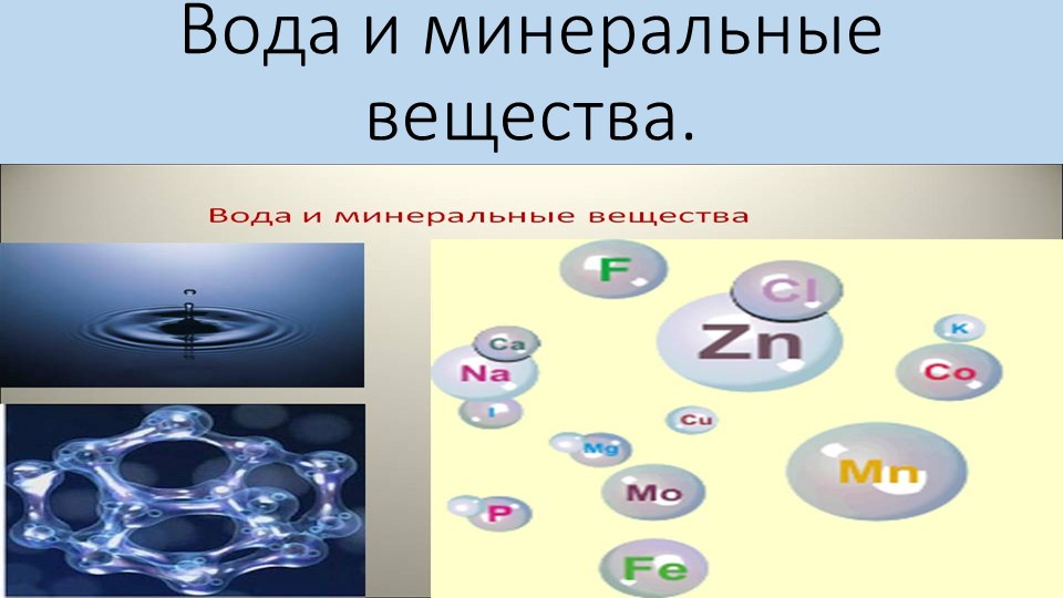 Презентация по товароведению пищевых продуктов "Вода и минеральные вещества"  - Скачать презентации бесплатно | Читать или скачать учебники для школы онлайн бесплатно ☑ Школьные учебники school-textbook.com