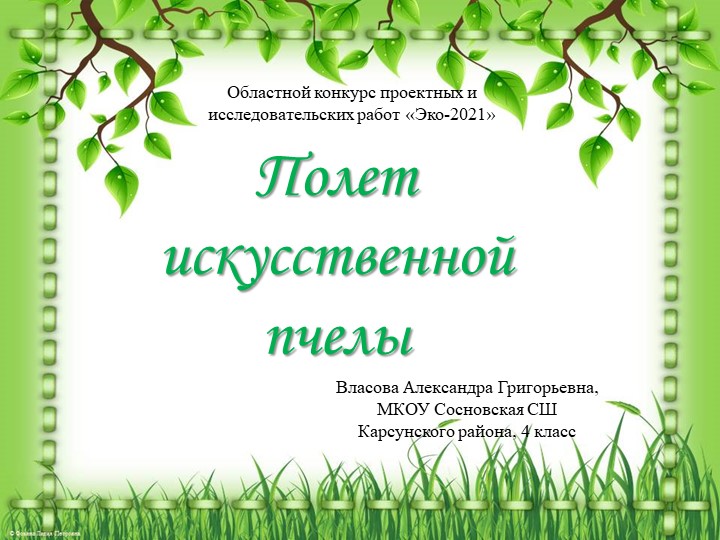 Презентация "полет искусственный пчелы"  - Скачать презентации бесплатно | Читать или скачать учебники для школы онлайн бесплатно ☑ Школьные учебники school-textbook.com