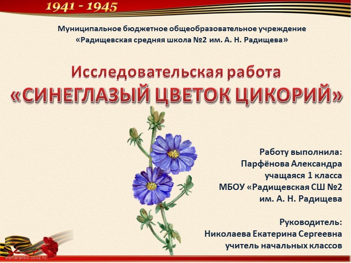 Исследовательская работа «СИНЕГЛАЗЫЙ ЦВЕТОК ЦИКОРИЙ» - Скачать презентации бесплатно | Читать или скачать учебники для школы онлайн бесплатно ☑ Школьные учебники school-textbook.com