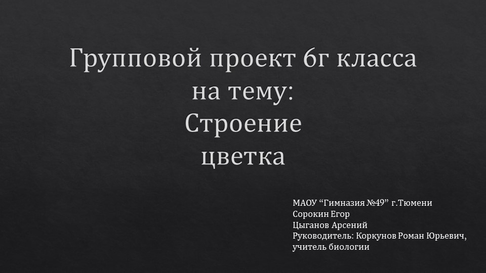 Групповой проект строение цветка (6 класс) - Скачать презентации бесплатно | Читать или скачать учебники для школы онлайн бесплатно ☑ Школьные учебники school-textbook.com