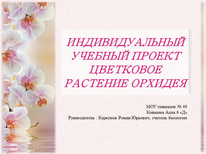 Индивидуальный учебный проект ОРХИДЕЯ (6 класс)  - Скачать презентации бесплатно | Читать или скачать учебники для школы онлайн бесплатно ☑ Школьные учебники school-textbook.com