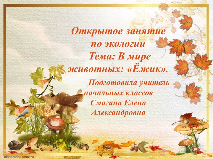 Презентация по экологии на тему " В мире животных: «Ёжик». - Скачать презентации бесплатно | Читать или скачать учебники для школы онлайн бесплатно ☑ Школьные учебники school-textbook.com