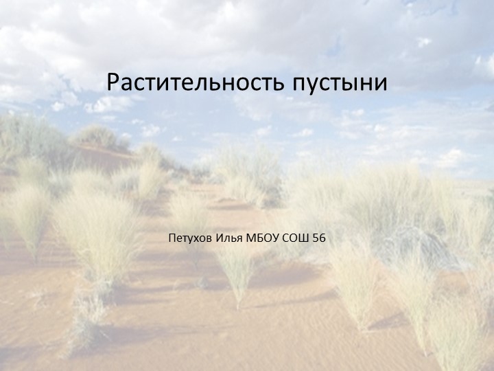 Презентация на тему "Растительность пустыни" (6 класс) - Скачать презентации бесплатно | Читать или скачать учебники для школы онлайн бесплатно ☑ Школьные учебники school-textbook.com