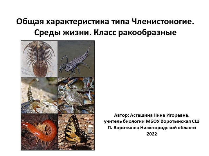 Презентация по биологии "Общая характеристика типа Членистоногие" - Скачать презентации бесплатно | Читать или скачать учебники для школы онлайн бесплатно ☑ Школьные учебники school-textbook.com