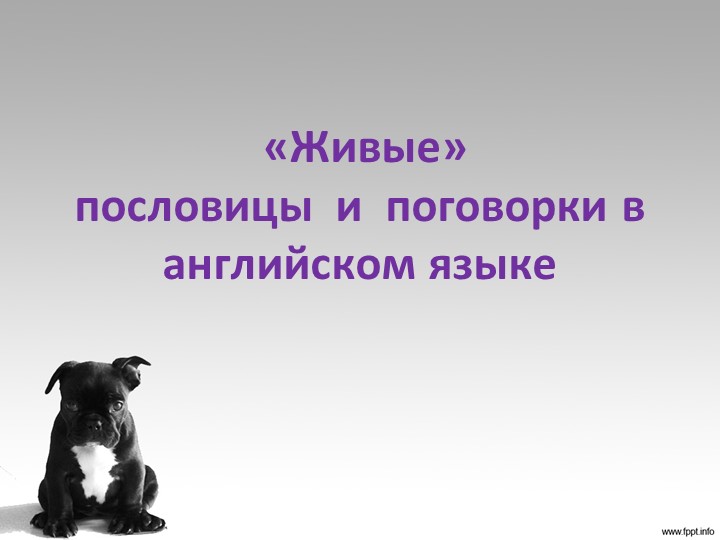 Презентация к научной работе "Живые пословицы и поговорки в английском языке" - Скачать презентации бесплатно | Читать или скачать учебники для школы онлайн бесплатно ☑ Школьные учебники school-textbook.com