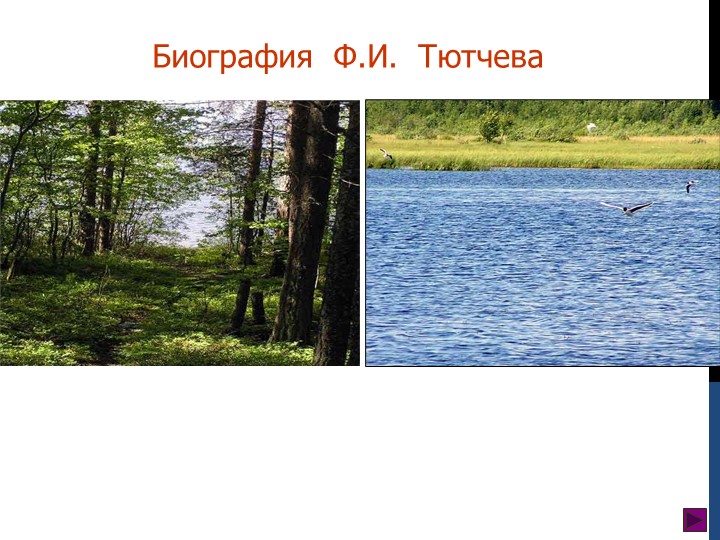 Урок в 6 классе "Биография Ф.И. Тютчева" - Скачать презентации бесплатно | Читать или скачать учебники для школы онлайн бесплатно ☑ Школьные учебники school-textbook.com
