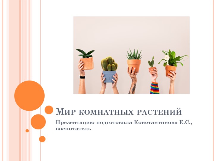 Презентация "Мир комнатных растений"  - Скачать презентации бесплатно | Читать или скачать учебники для школы онлайн бесплатно ☑ Школьные учебники school-textbook.com