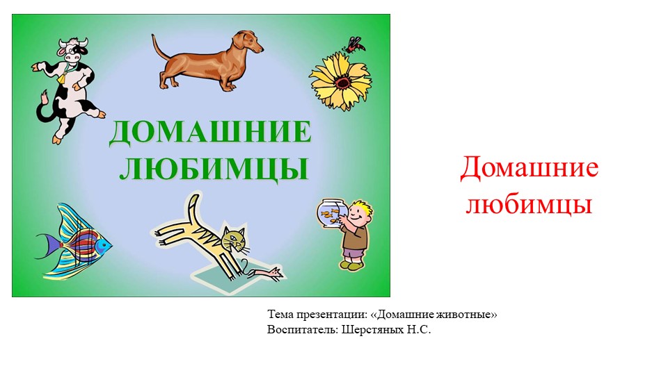 Презентация на тему "Домашние любимцы" - Скачать презентации бесплатно | Читать или скачать учебники для школы онлайн бесплатно ☑ Школьные учебники school-textbook.com