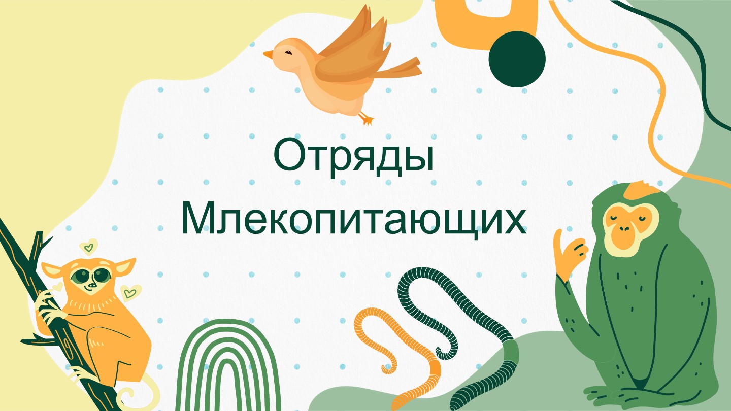 Презентация по биологии на тему "Отряды Млекопитающих" - Скачать презентации бесплатно | Читать или скачать учебники для школы онлайн бесплатно ☑ Школьные учебники school-textbook.com