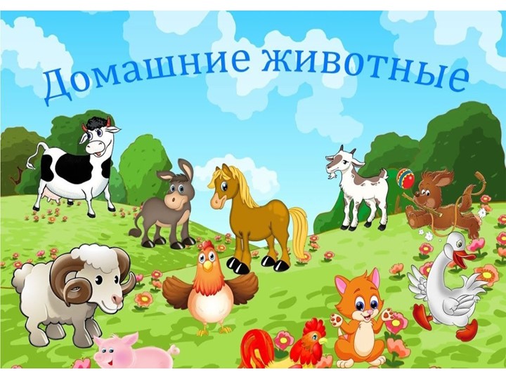 Презентация к проекту о домашних животных для детей среднего возраста"Домашние животные"  - Скачать презентации бесплатно | Читать или скачать учебники для школы онлайн бесплатно ☑ Школьные учебники school-textbook.com