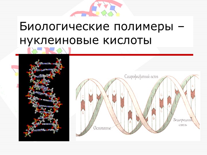 Презентация по биологии на тему "Строение и классификация нуклеиновых кислот" (10 класс)троение клетки. Ткани" (5 класс) ФГОС - Скачать презентации бесплатно | Читать или скачать учебники для школы онлайн бесплатно ☑ Школьные учебники school-textbook.com