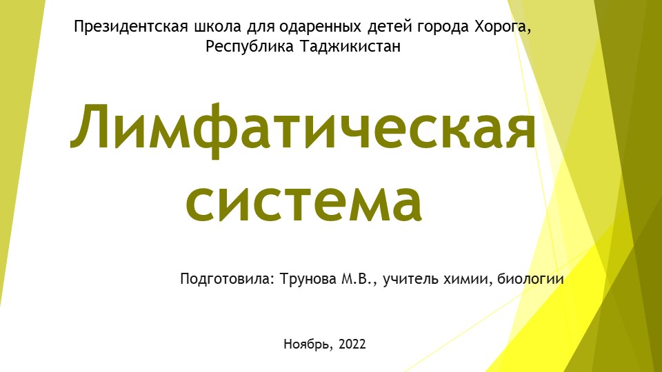 Презентация по биологии на тему "Лимфатическая система" (9 класс) - Скачать презентации бесплатно | Читать или скачать учебники для школы онлайн бесплатно ☑ Школьные учебники school-textbook.com
