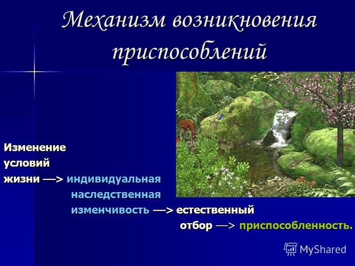 Презентация по биологии "Приспособленность организмов" - Скачать презентации бесплатно | Читать или скачать учебники для школы онлайн бесплатно ☑ Школьные учебники school-textbook.com