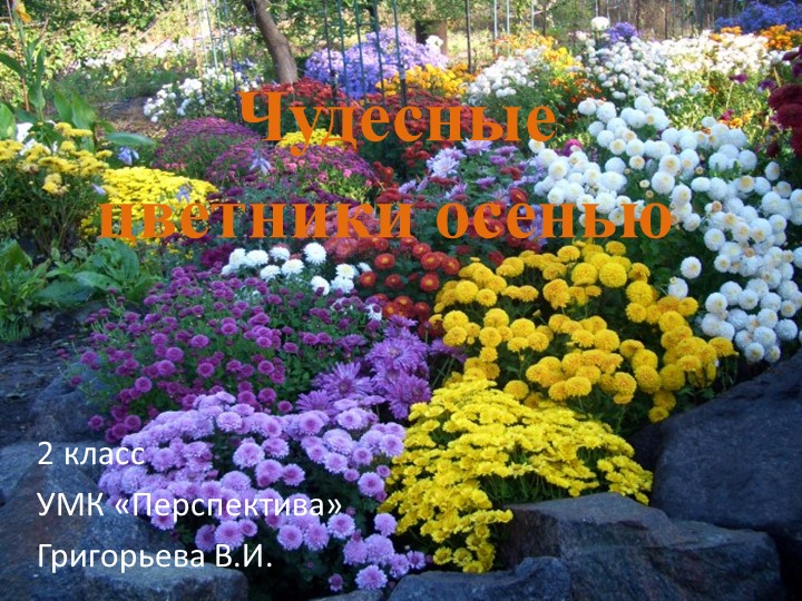 Презентация "Чудесные цветники осенью" - Скачать презентации бесплатно | Читать или скачать учебники для школы онлайн бесплатно ☑ Школьные учебники school-textbook.com