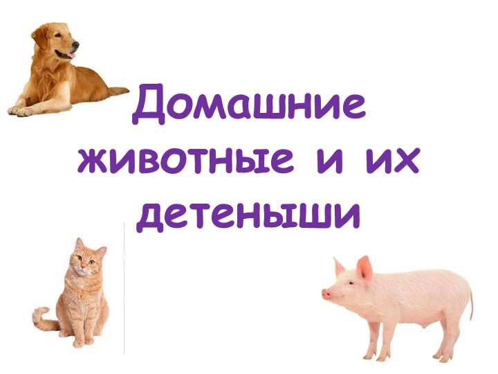 Презентация "Домашние животные и их детеныши"  - Скачать презентации бесплатно | Читать или скачать учебники для школы онлайн бесплатно ☑ Школьные учебники school-textbook.com