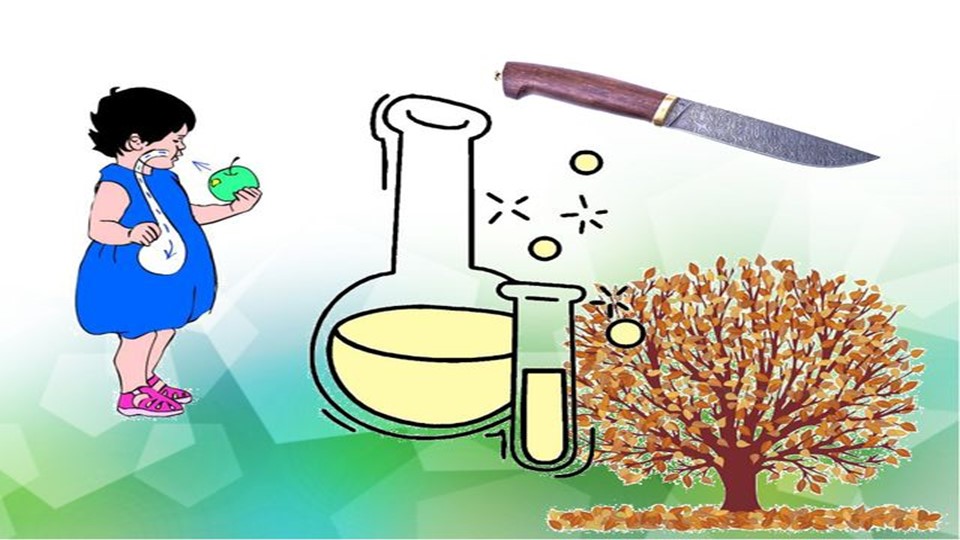 Презентация по химии на тему "Соляная кислота"  - Скачать презентации бесплатно | Читать или скачать учебники для школы онлайн бесплатно ☑ Школьные учебники school-textbook.com