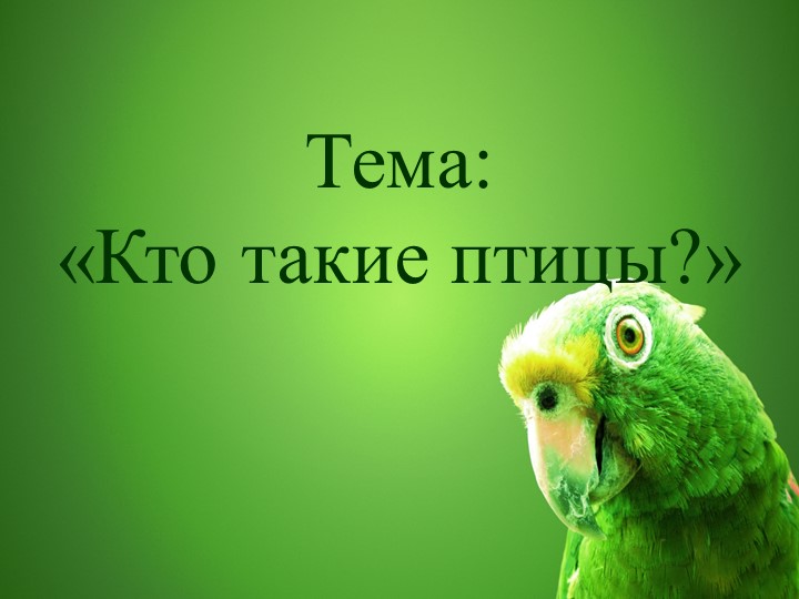 Презентация : "Кто такие птицы?"  - Скачать презентации бесплатно | Читать или скачать учебники для школы онлайн бесплатно ☑ Школьные учебники school-textbook.com