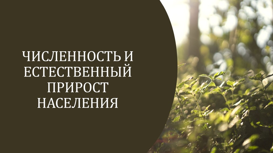 Презентация по географии на тему "Численность и прирост населения" (9 класс) - Скачать презентации бесплатно | Читать или скачать учебники для школы онлайн бесплатно ☑ Школьные учебники school-textbook.com