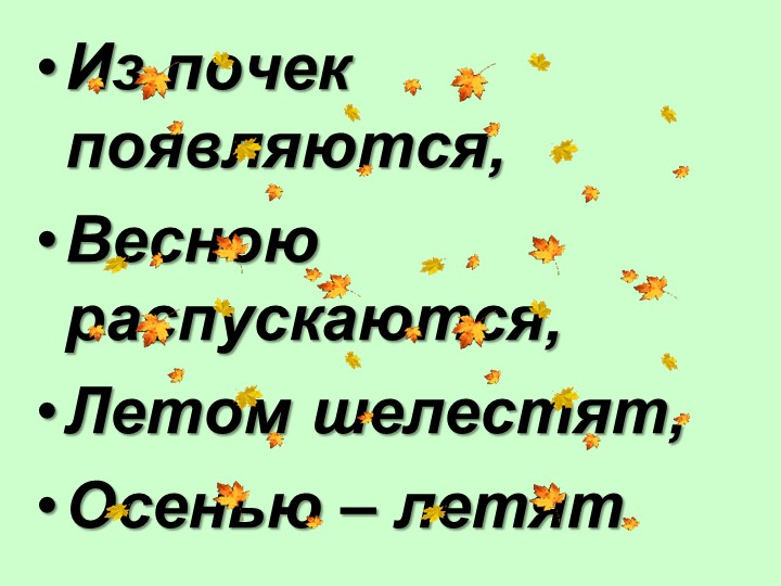 Презентация на тему: "Внешнее строение листа"  - Скачать презентации бесплатно | Читать или скачать учебники для школы онлайн бесплатно ☑ Школьные учебники school-textbook.com