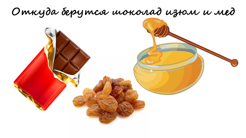 Откуда берутся шоколад, мёд и изюм 1 класс  - Скачать презентации бесплатно | Читать или скачать учебники для школы онлайн бесплатно ☑ Школьные учебники school-textbook.com