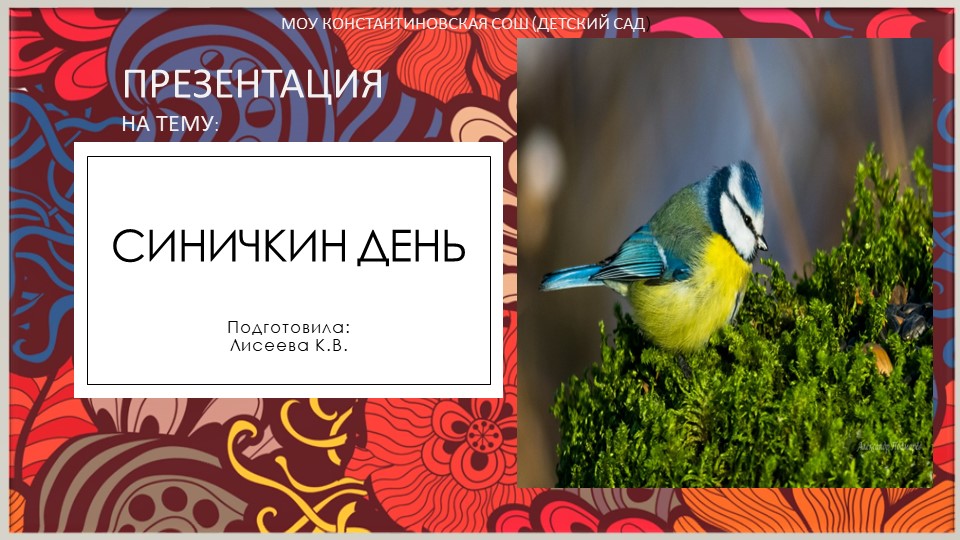 Презентация " Синичкина неделя"  - Скачать презентации бесплатно | Читать или скачать учебники для школы онлайн бесплатно ☑ Школьные учебники school-textbook.com