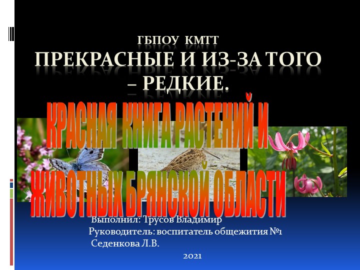 Прекрасные и из-за того – редкие - Скачать презентации бесплатно | Читать или скачать учебники для школы онлайн бесплатно ☑ Школьные учебники school-textbook.com