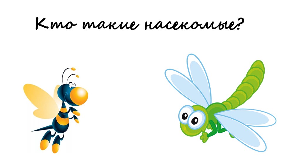 Презентация кто такие насекомые  - Скачать презентации бесплатно | Читать или скачать учебники для школы онлайн бесплатно ☑ Школьные учебники school-textbook.com