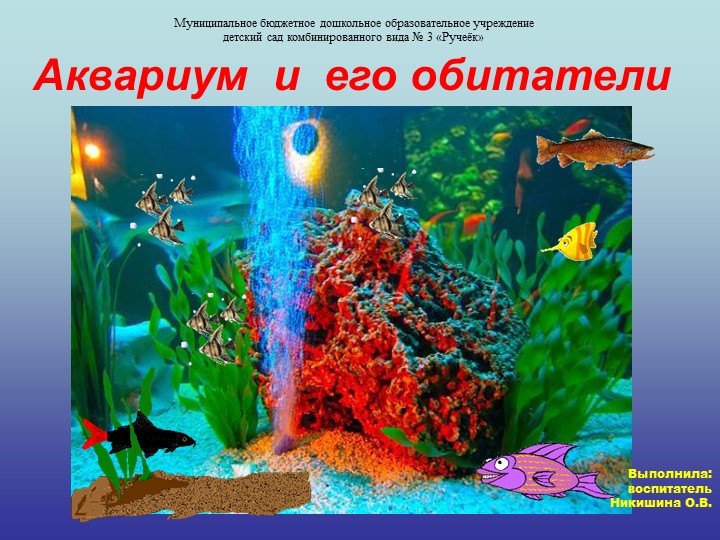 Презентация по познавательному развитию на тему " Аквариум и его обитатели"  - Скачать презентации бесплатно | Читать или скачать учебники для школы онлайн бесплатно ☑ Школьные учебники school-textbook.com