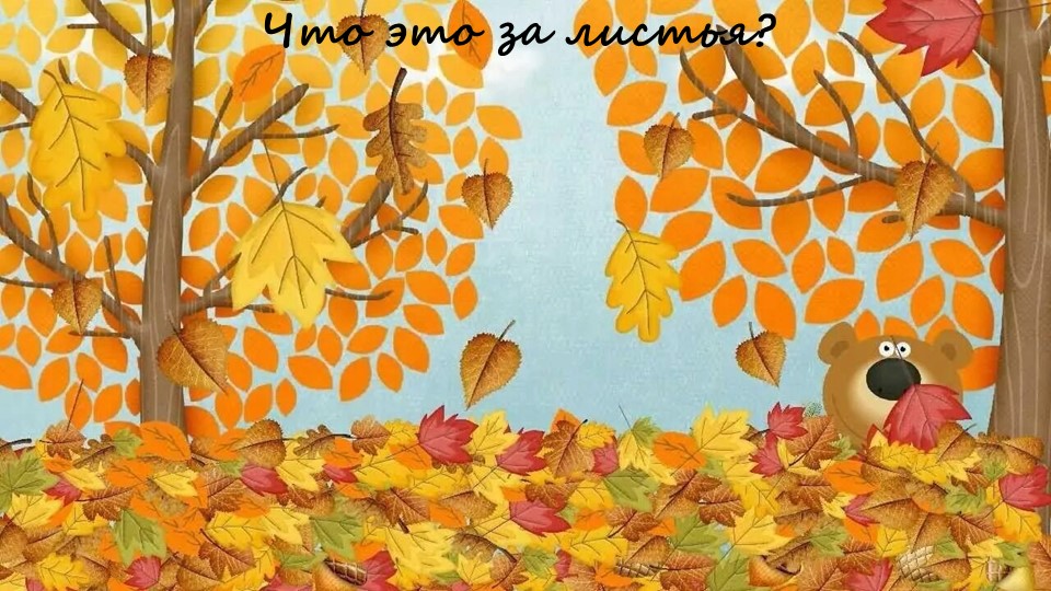 Что это за листья - Скачать презентации бесплатно | Читать или скачать учебники для школы онлайн бесплатно ☑ Школьные учебники school-textbook.com