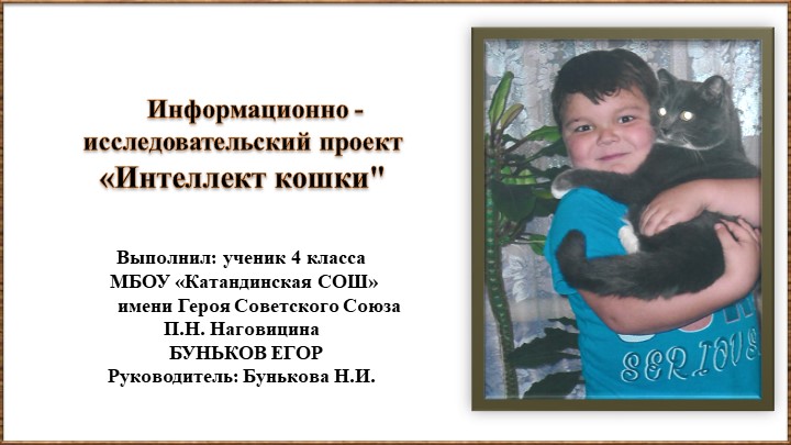 Презентация проекта "Интеллект кошек" - Скачать презентации бесплатно | Читать или скачать учебники для школы онлайн бесплатно ☑ Школьные учебники school-textbook.com