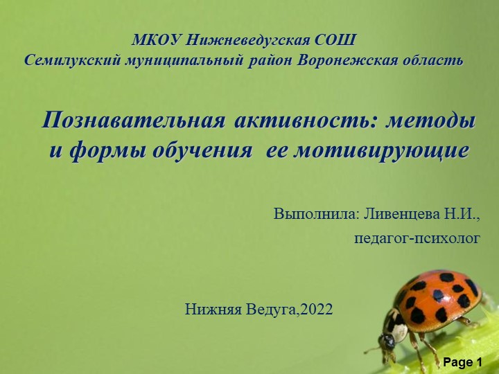 Презентация "Познавательная активность: методы и формы обучения ее мотивирующие" - Скачать презентации бесплатно | Читать или скачать учебники для школы онлайн бесплатно ☑ Школьные учебники school-textbook.com