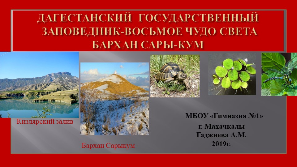 Презентация по классному часу "Восьмое чудо света" - Скачать презентации бесплатно | Читать или скачать учебники для школы онлайн бесплатно ☑ Школьные учебники school-textbook.com