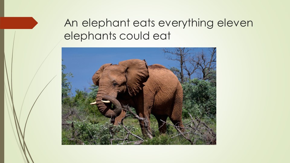 Презентация к уроку по обучению чтению "Animals in South America" (6 класс) - Скачать презентации бесплатно | Читать или скачать учебники для школы онлайн бесплатно ☑ Школьные учебники school-textbook.com