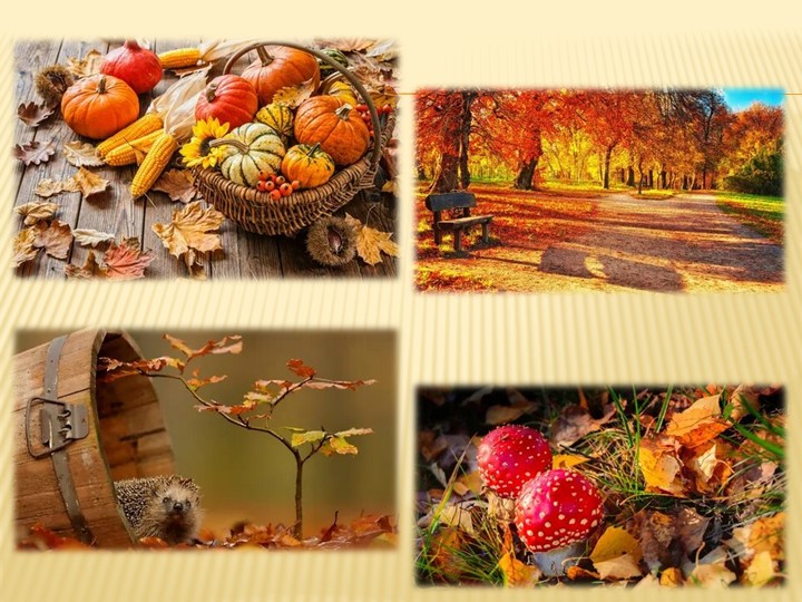 Презентация к мероприятию на немецком языке "Праздник осени"  - Скачать презентации бесплатно | Читать или скачать учебники для школы онлайн бесплатно ☑ Школьные учебники school-textbook.com