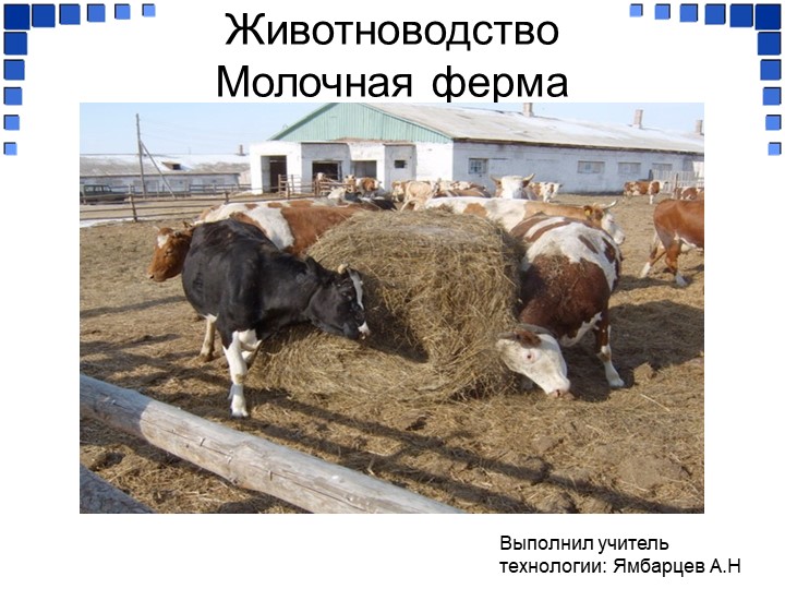 Презентация 8 класс "Животноводство. Молочная ферма"  - Скачать презентации бесплатно | Читать или скачать учебники для школы онлайн бесплатно ☑ Школьные учебники school-textbook.com