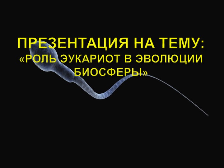 Презентация на тему:«Роль эукариот в эволюции биосферы» - Скачать презентации бесплатно | Читать или скачать учебники для школы онлайн бесплатно ☑ Школьные учебники school-textbook.com