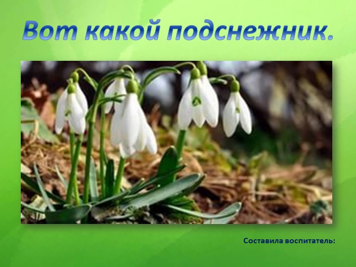 Презентация к занятию по художественно эстетическому развитию "Подснежники"  - Скачать презентации бесплатно | Читать или скачать учебники для школы онлайн бесплатно ☑ Школьные учебники school-textbook.com