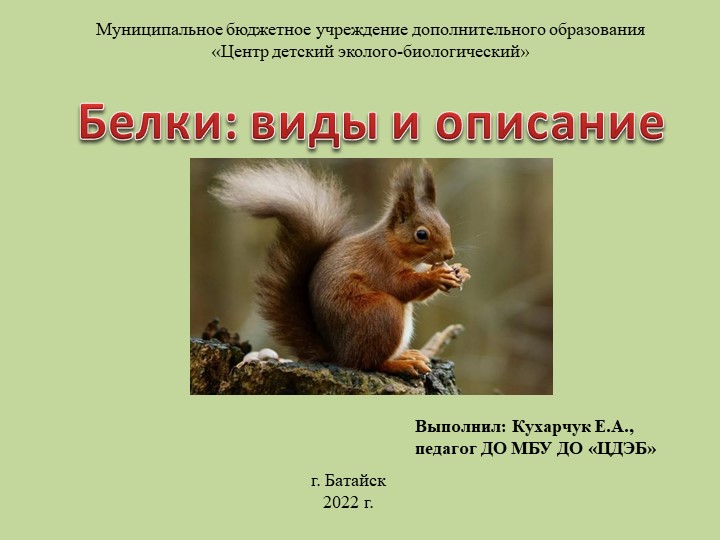 Презентация к программе "Планета Земля" по теме: "Белки: виды и описание"  - Скачать презентации бесплатно | Читать или скачать учебники для школы онлайн бесплатно ☑ Школьные учебники school-textbook.com