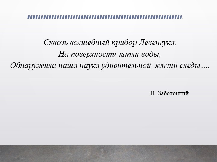Презентация по биологии на тему "Царство бактерии"  - Скачать презентации бесплатно | Читать или скачать учебники для школы онлайн бесплатно ☑ Школьные учебники school-textbook.com