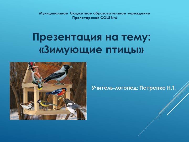 Презентация к занятию на тему "Зимующие птицы" - Скачать презентации бесплатно | Читать или скачать учебники для школы онлайн бесплатно ☑ Школьные учебники school-textbook.com