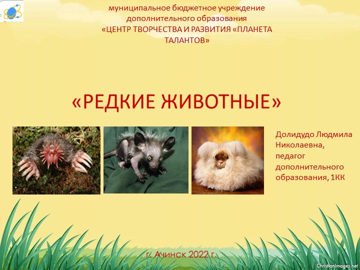 Презентация по экологии "Редкие животные" - Скачать презентации бесплатно | Читать или скачать учебники для школы онлайн бесплатно ☑ Школьные учебники school-textbook.com