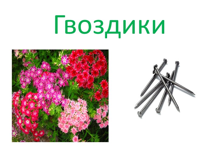 Слог. Ударение. Свойства русского ударения (5 класс)  - Скачать презентации бесплатно | Читать или скачать учебники для школы онлайн бесплатно ☑ Школьные учебники school-textbook.com