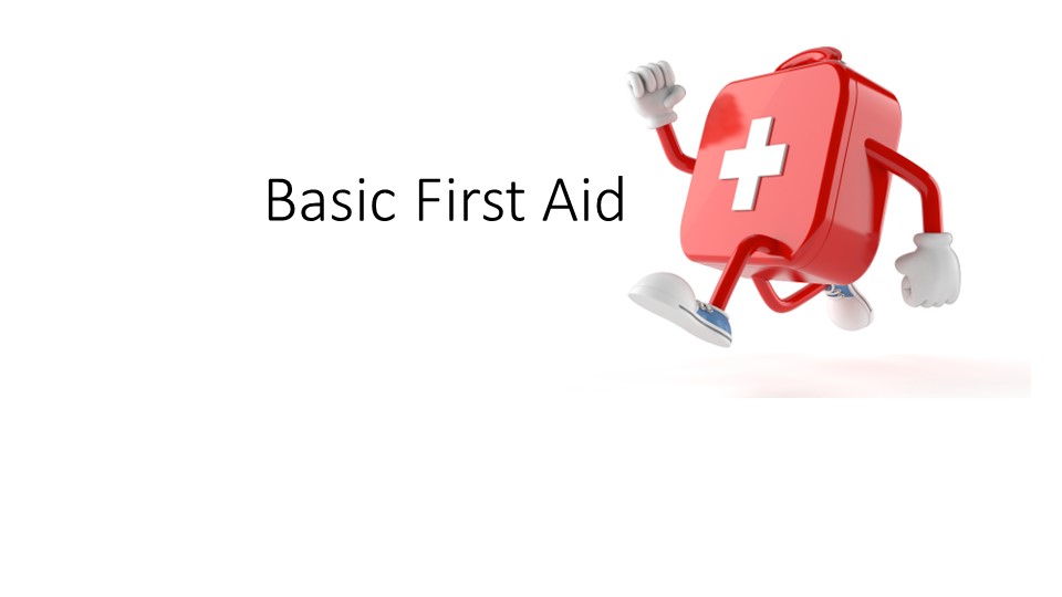"Basic First Aid" (основы первой медицинской помощи) 5 класс  - Скачать презентации бесплатно | Читать или скачать учебники для школы онлайн бесплатно ☑ Школьные учебники school-textbook.com